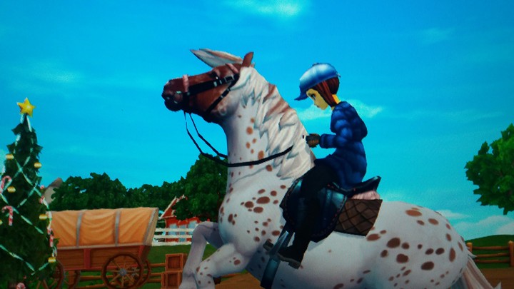 Ponys