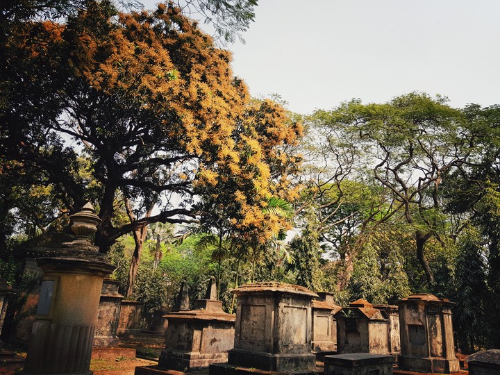 The Greenery Vs. The Graves~