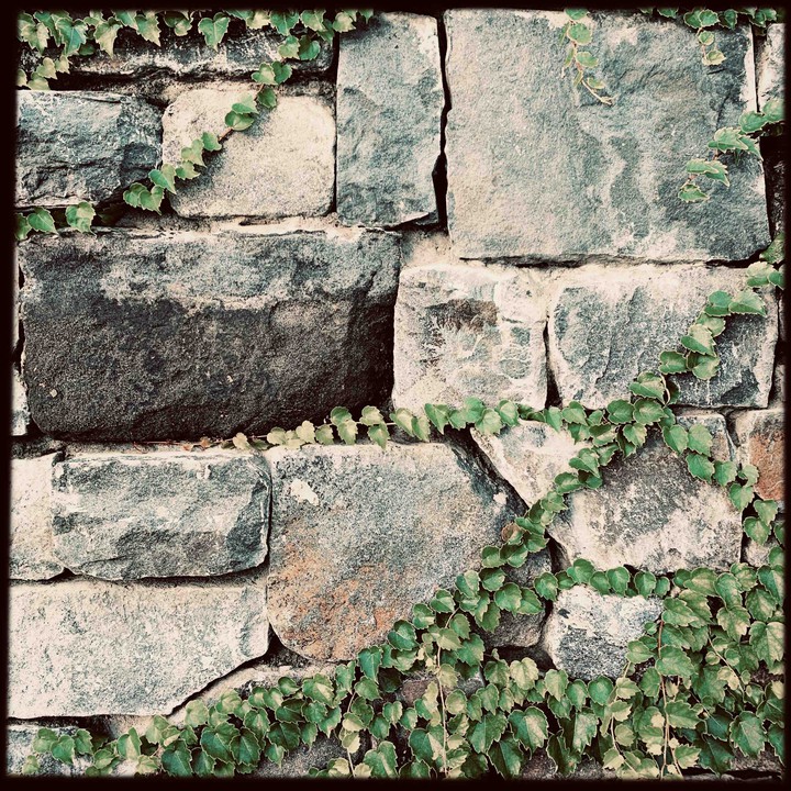 wall