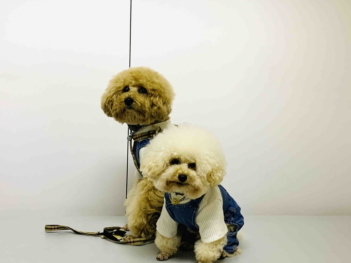 Lucky & Money