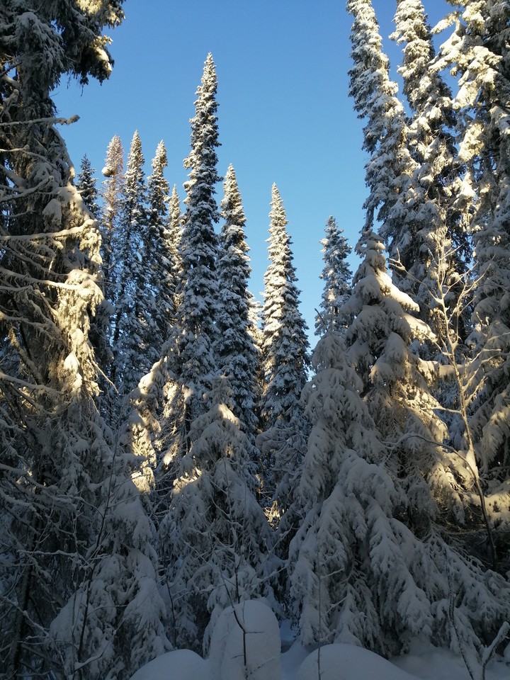 winter