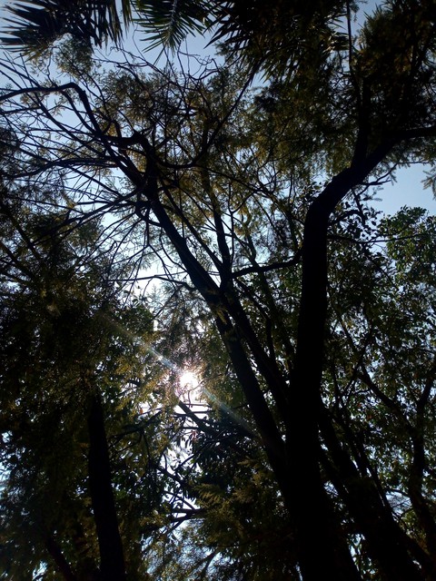flare