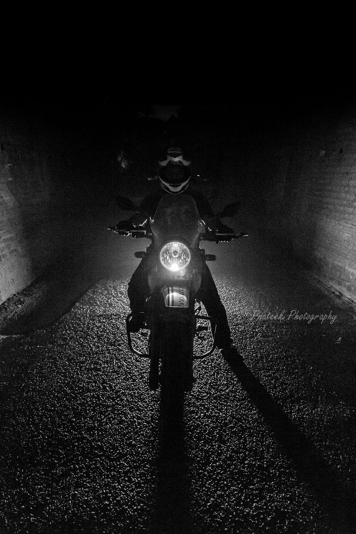 The Dark Knight and his White Himalayan