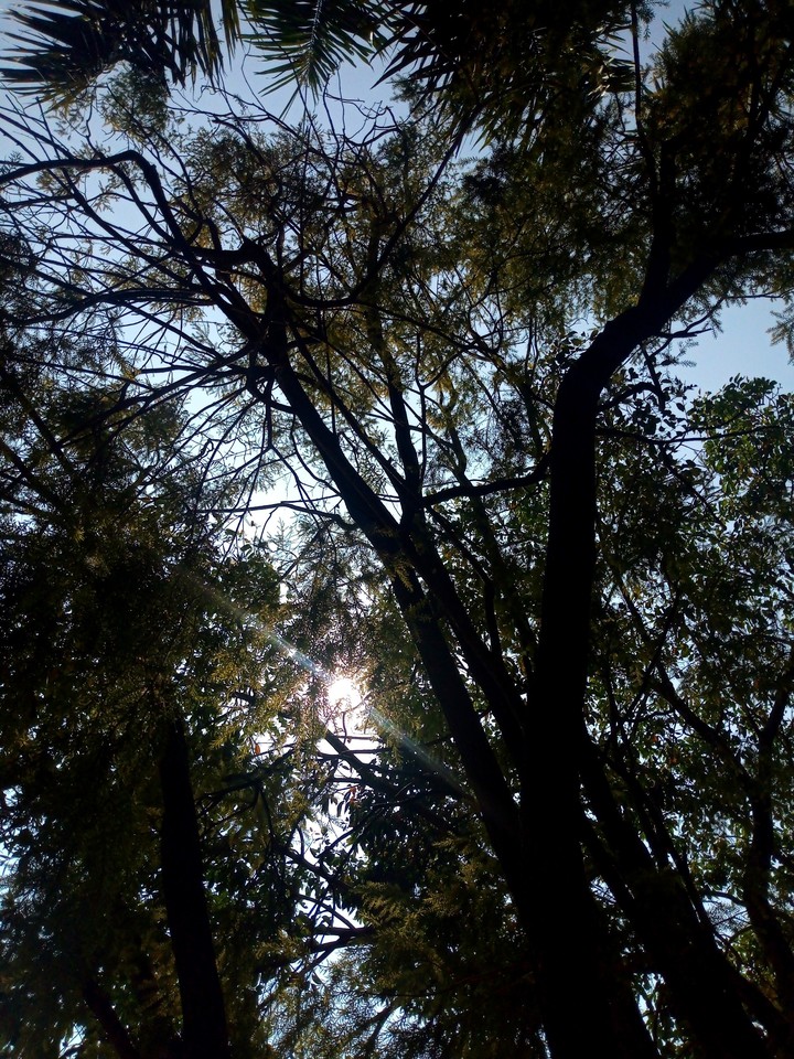 flare