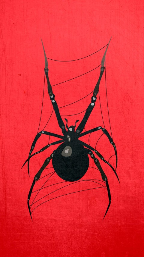 hình nền spider, illustrations