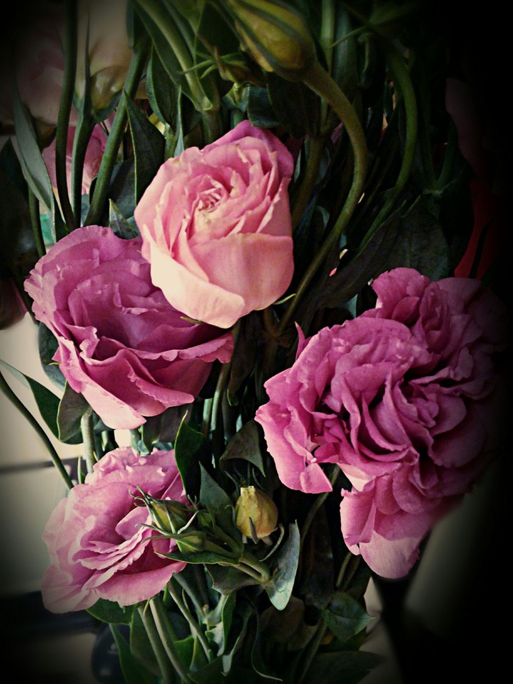 Vintage flowers