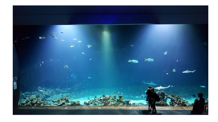 zoo Hagenbeck aquarium in Hamburg