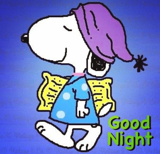 Good Night