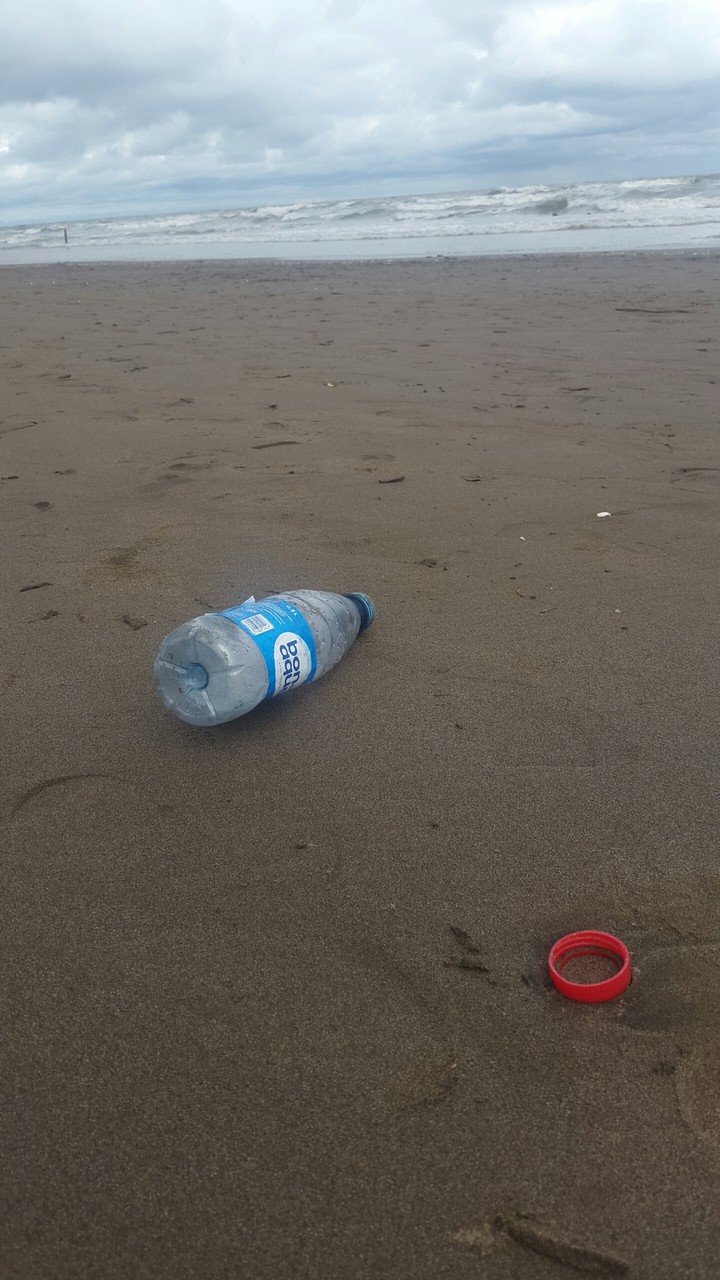 Why do we pollute the nature?