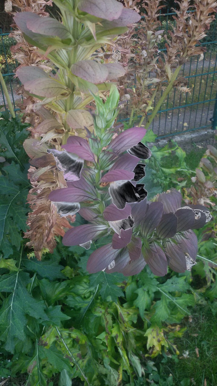 Herbstgarten
