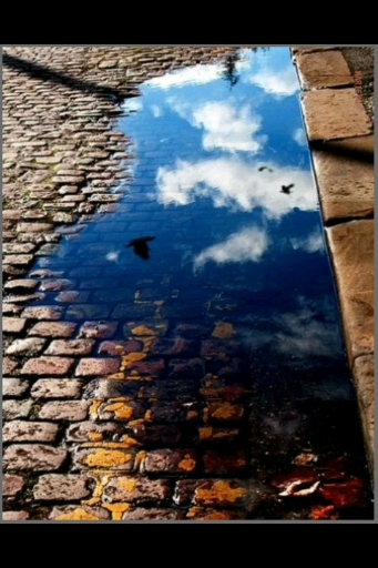 IN THE SKY"