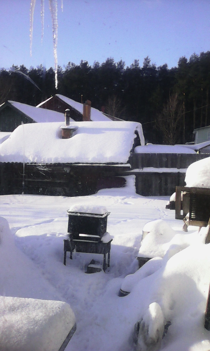 My yard))