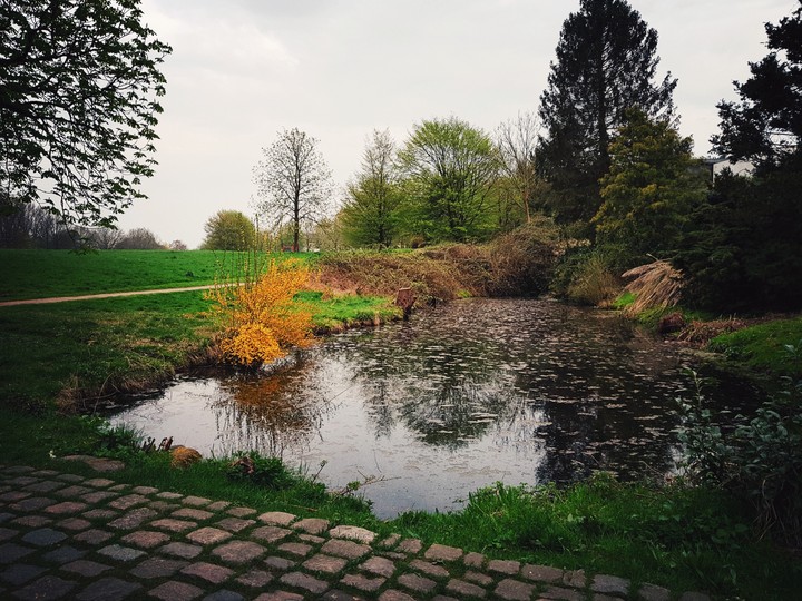 Mülheim_an_der_Ruhr #Saarn