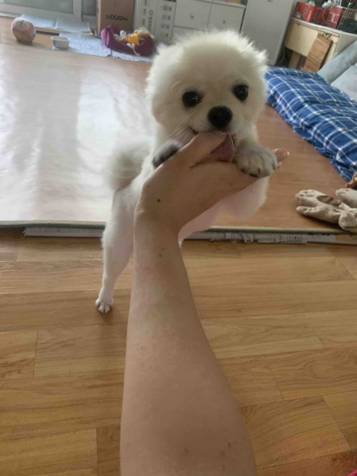 별이