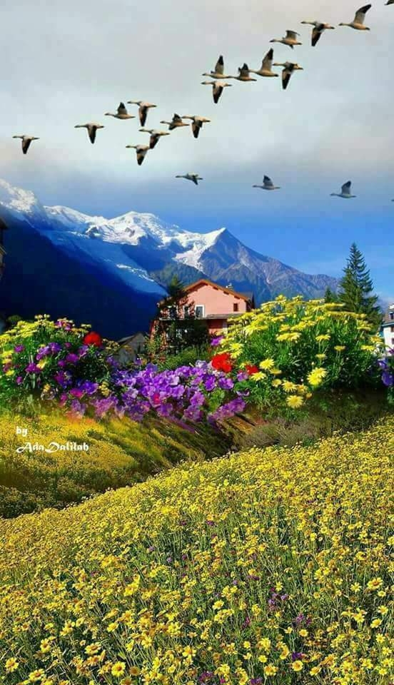 LINDA IMAGEM