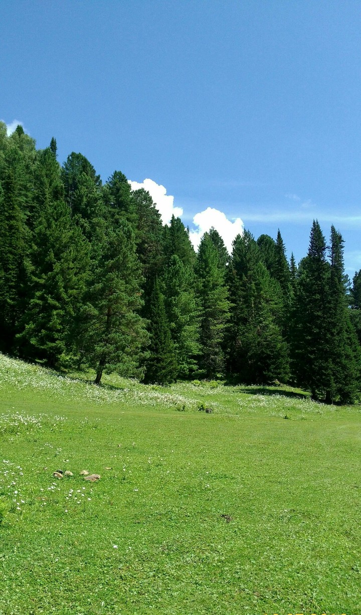 Russian nature