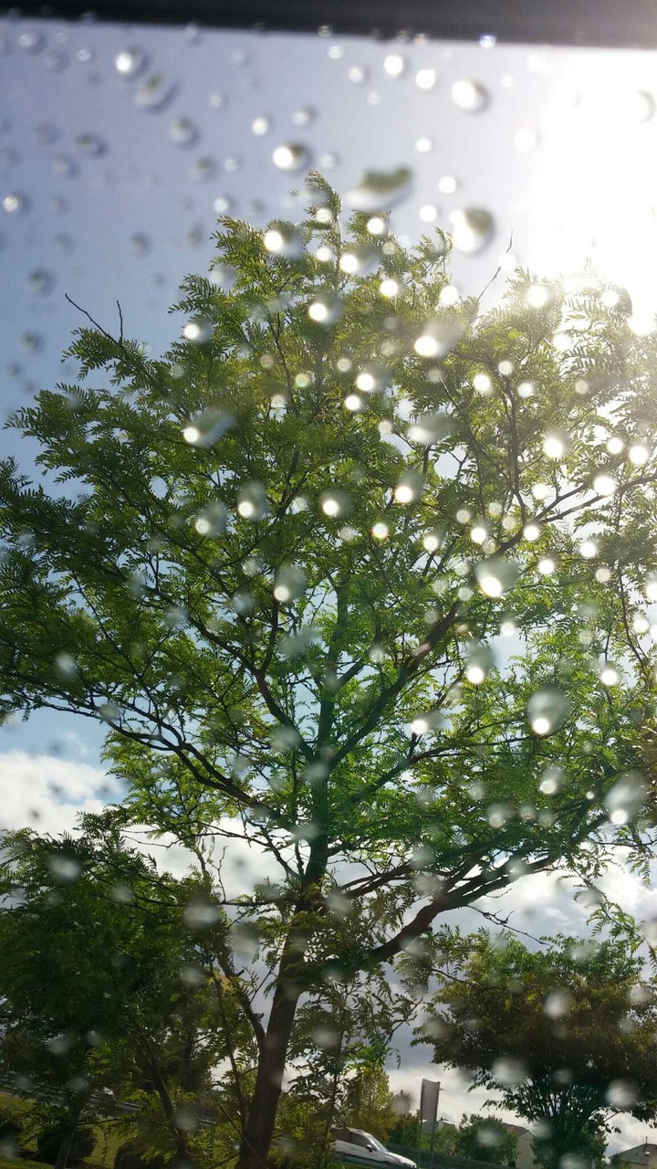 rain