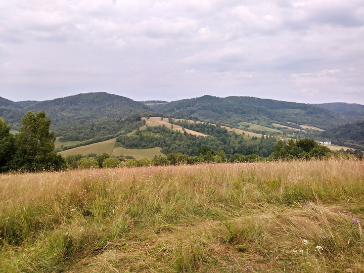 Landscape