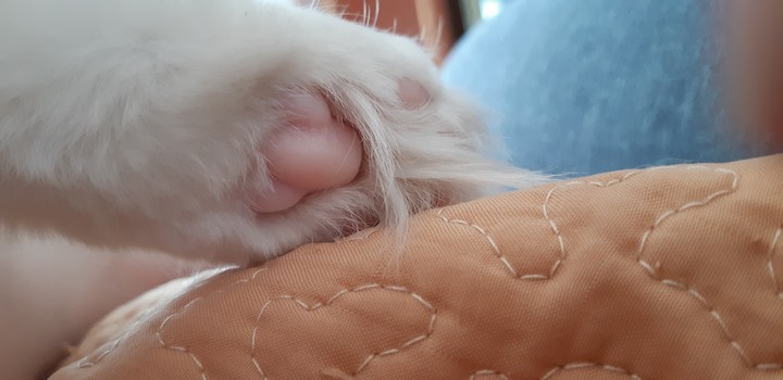 my