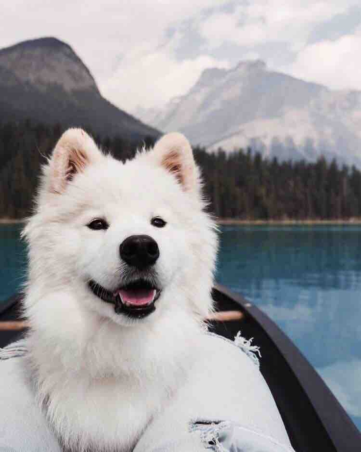 ?❤️