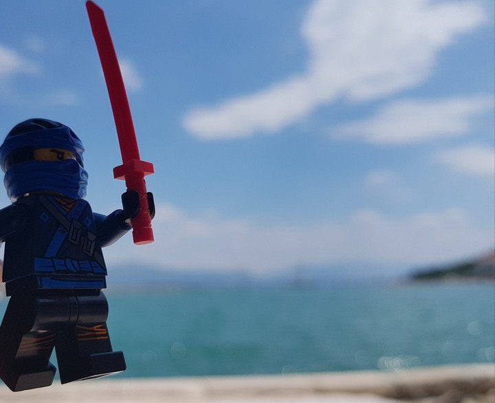 Ninja goes Holiday