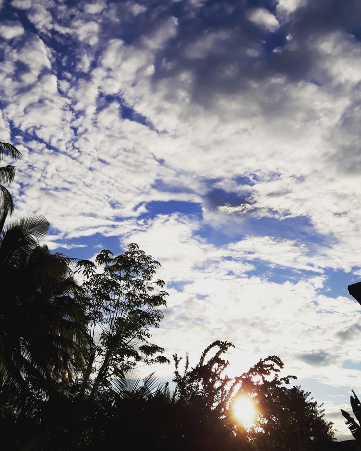 Pagi minggu