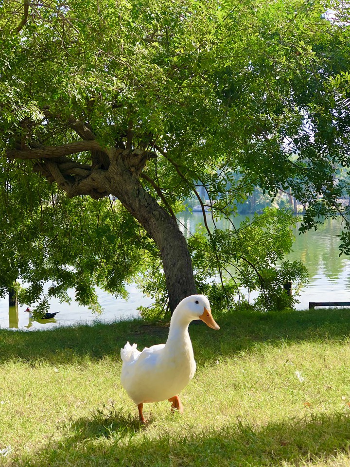 Angel Blanco