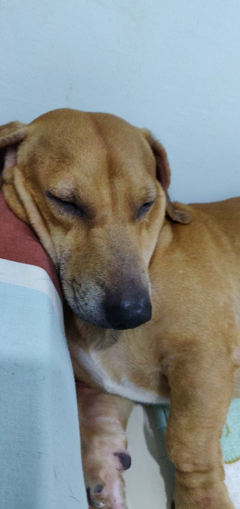 let me sleep