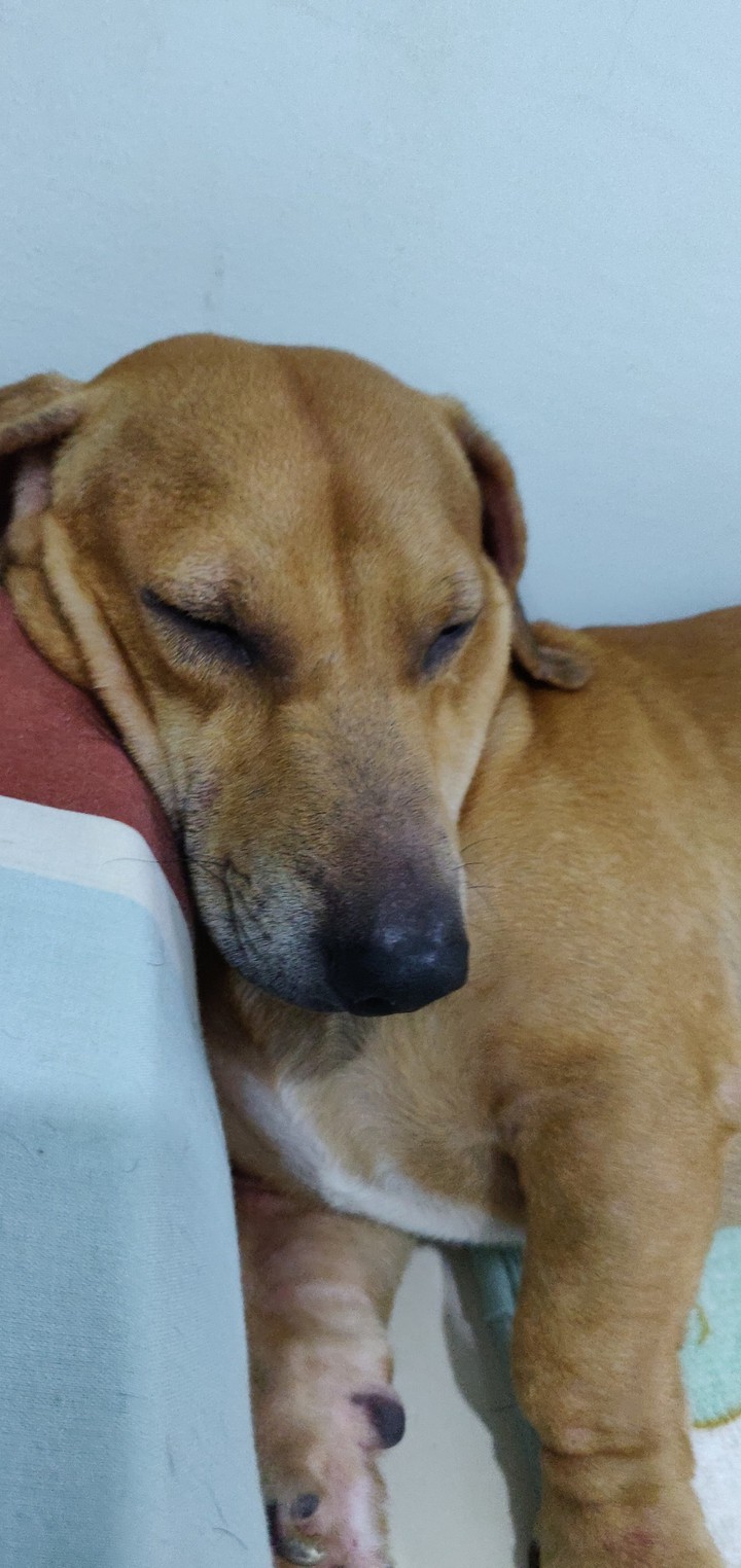 let me sleep