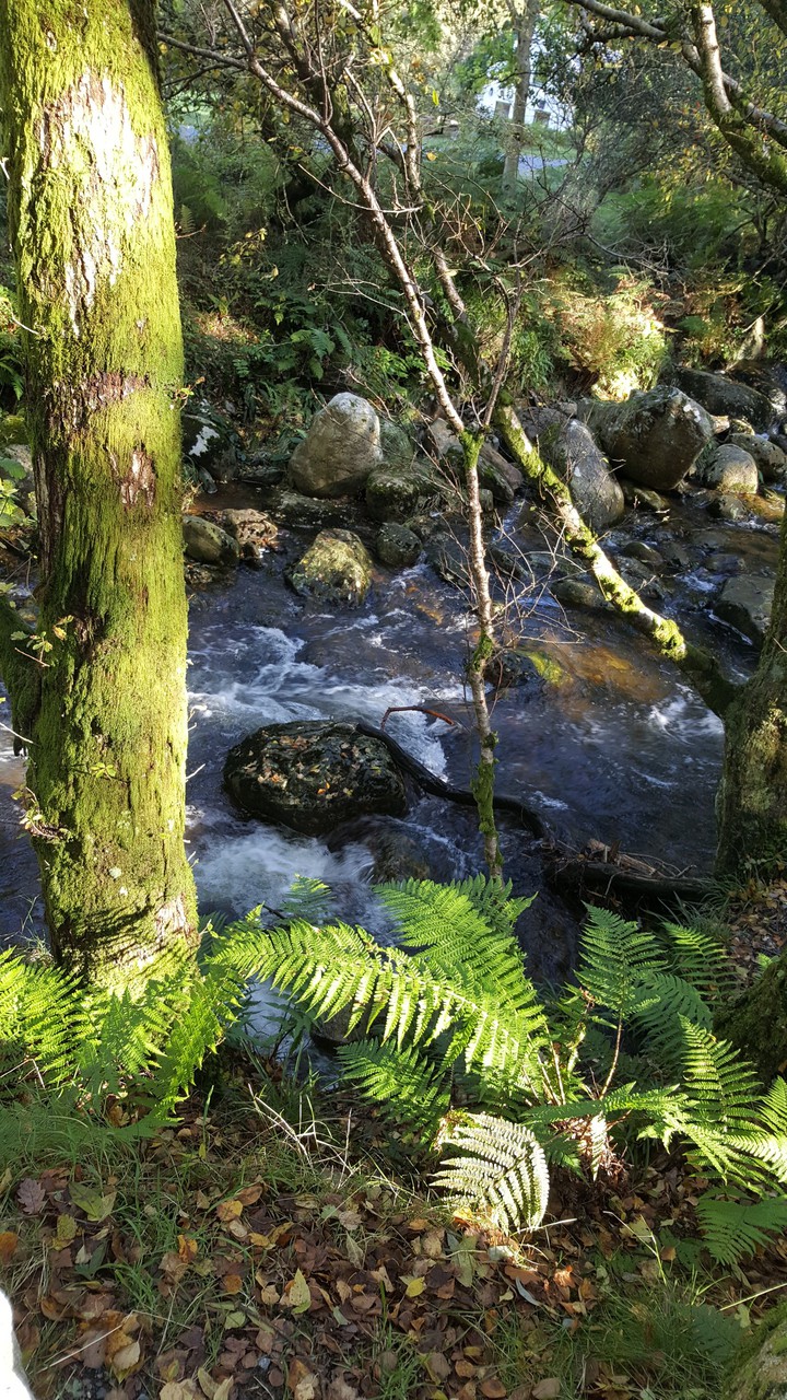 Nature