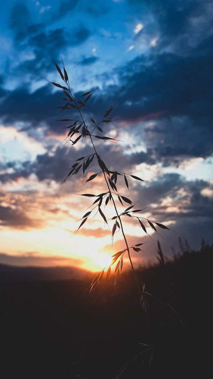 beautiful sunset