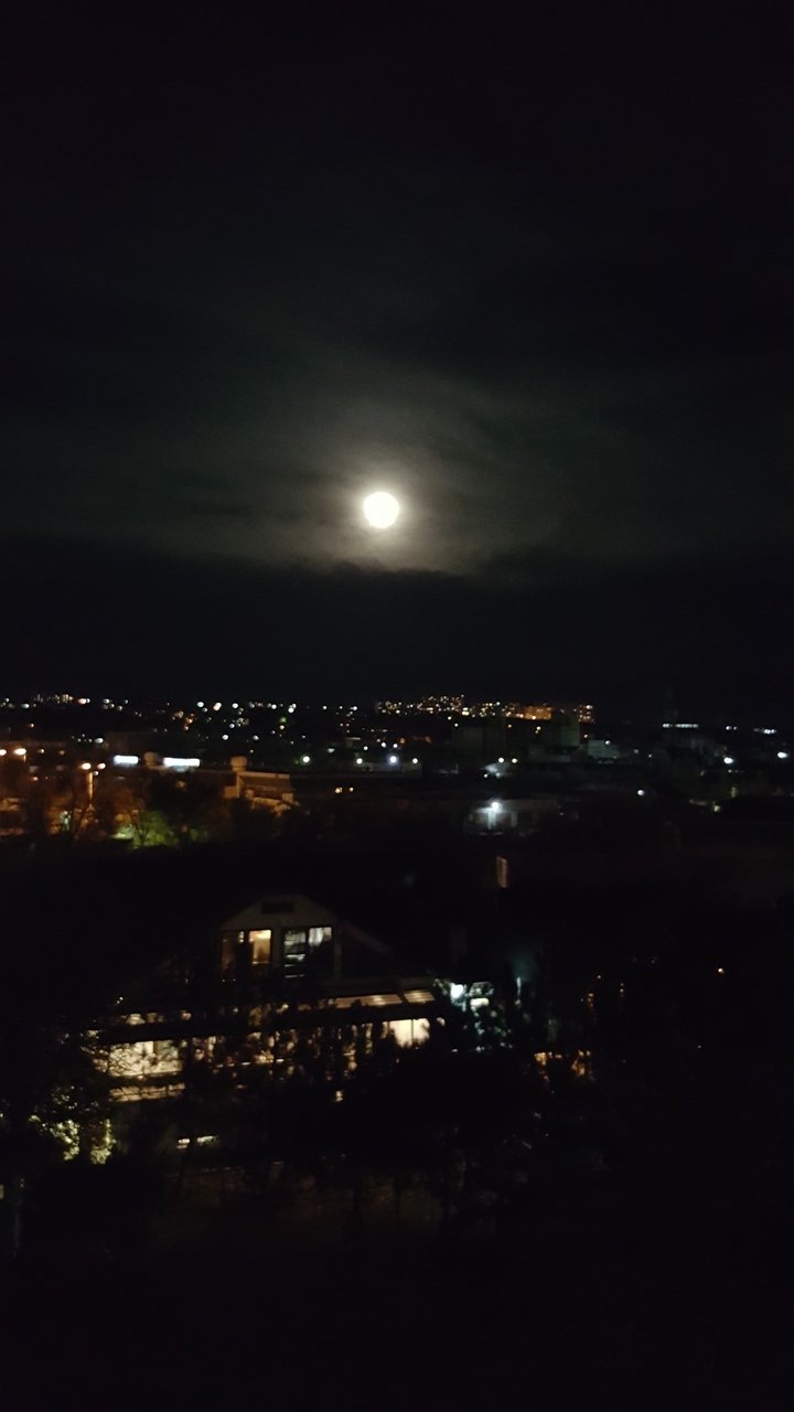 night sity