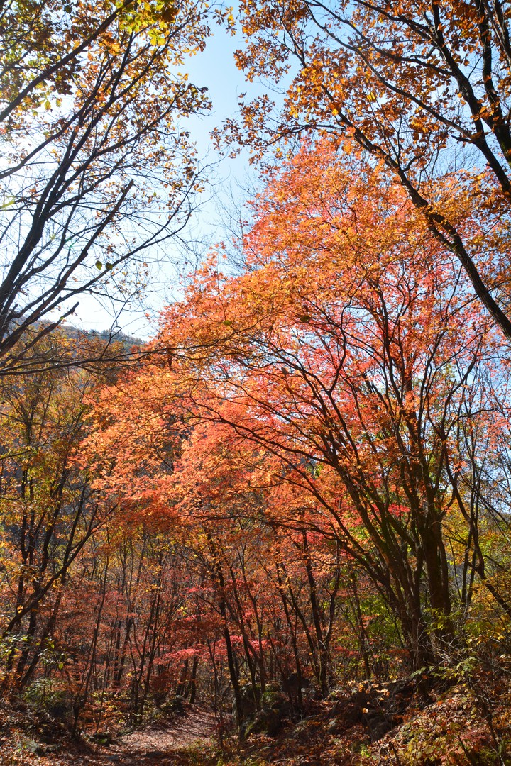 산이미지