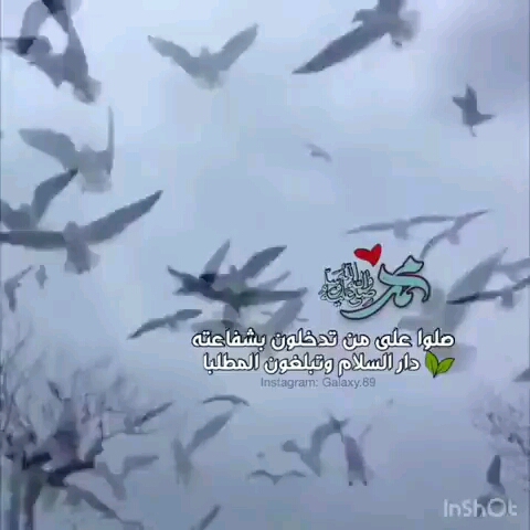 لا اله الا الله محمد رسول الله