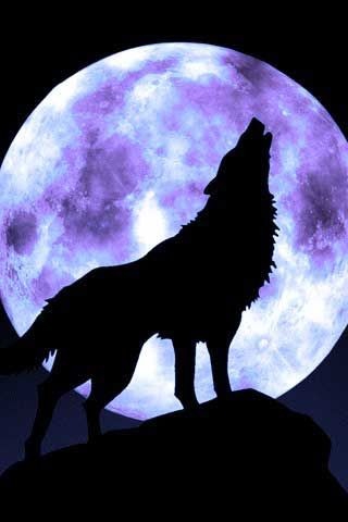 moonlight ,,,