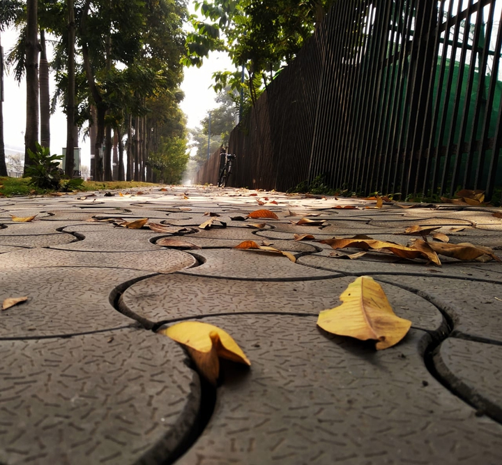 Lonely way