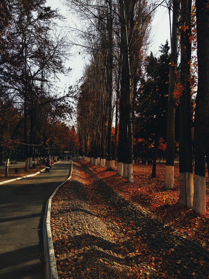 I love fall
