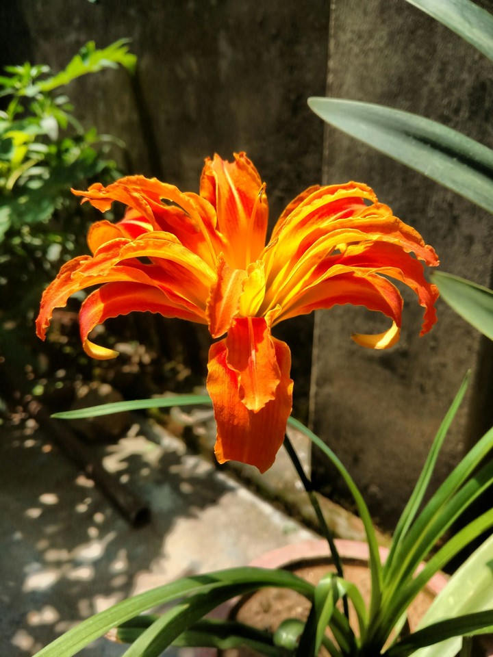 Beautiful creation of God