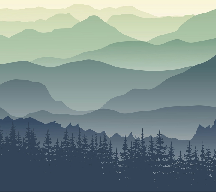 Forest on mountain