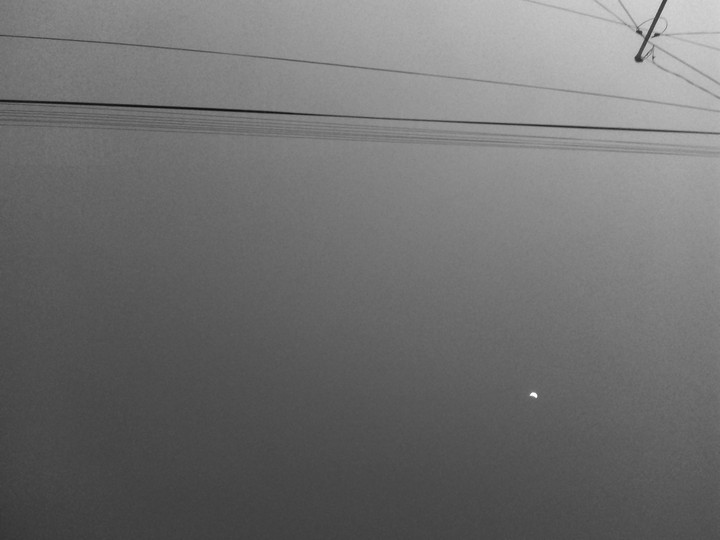 Moonlight