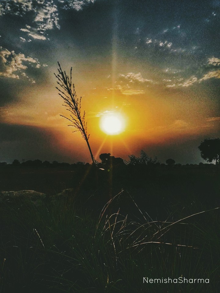 Morning