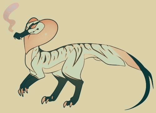 Cobraraptor :3