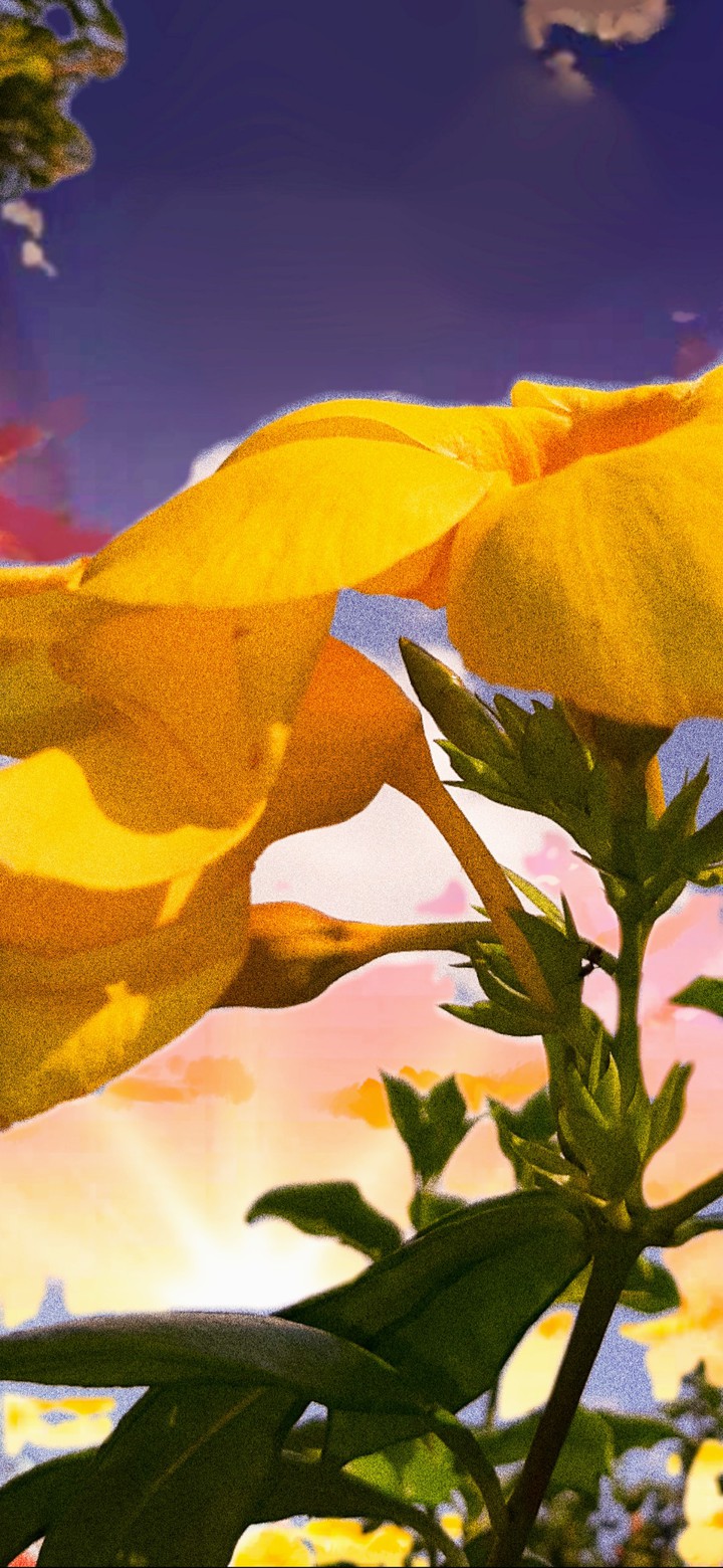 Flower art