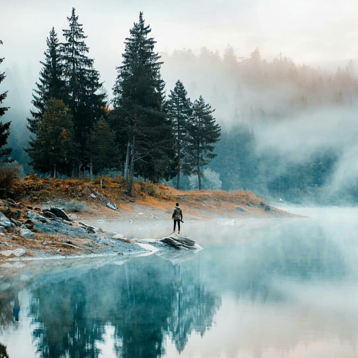 nature