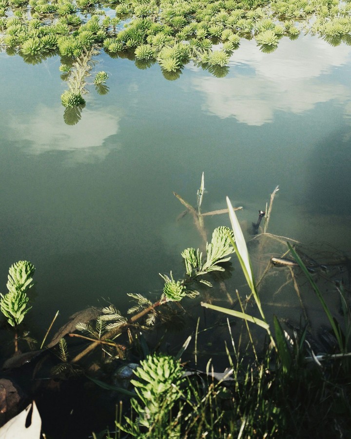 lake