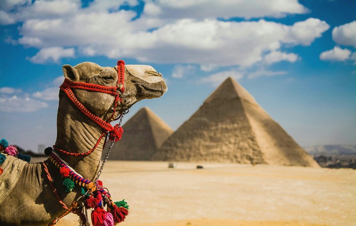 The pyramids, Egypt