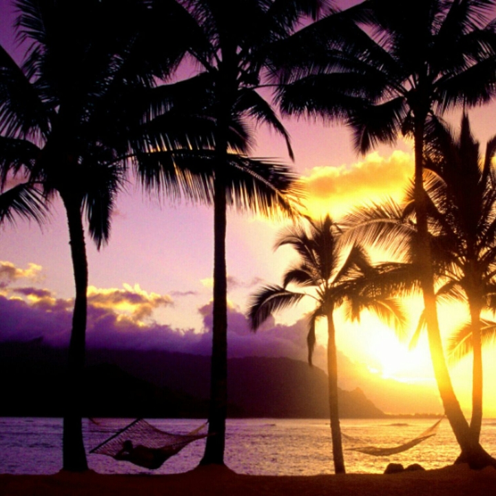 Summer in hawai