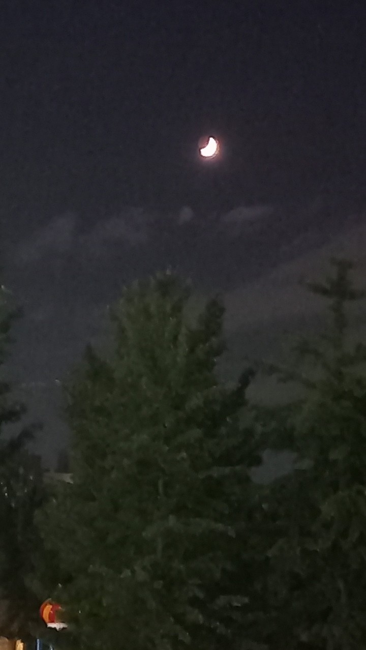 moonlight