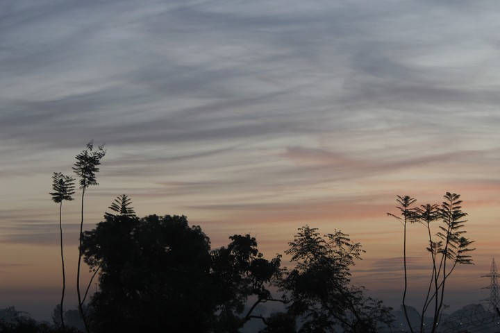 morning Photography