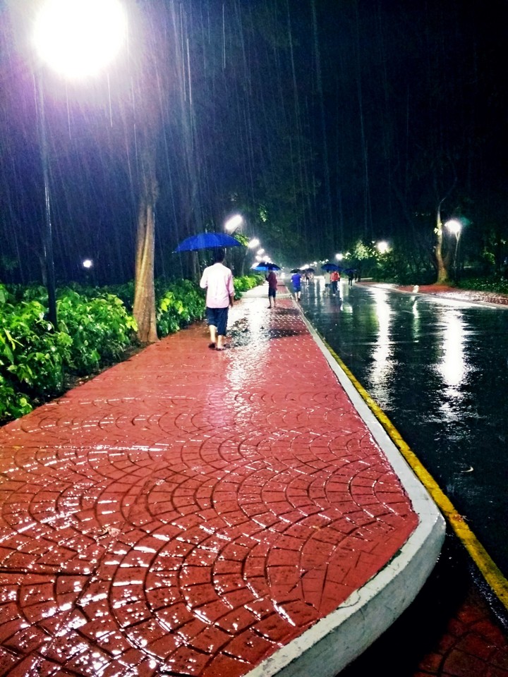 Rainy night
